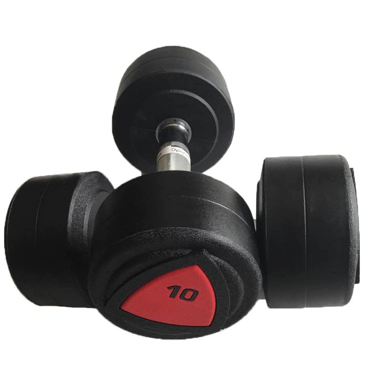 Hot Sale Arm Exercise Free Weight PU Dumbbell Gym Accessories