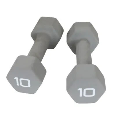 Hochwertige Outdoor Indoor Trainingsgeräte Body Building Best Gym Ausstattung Kleine Hantel