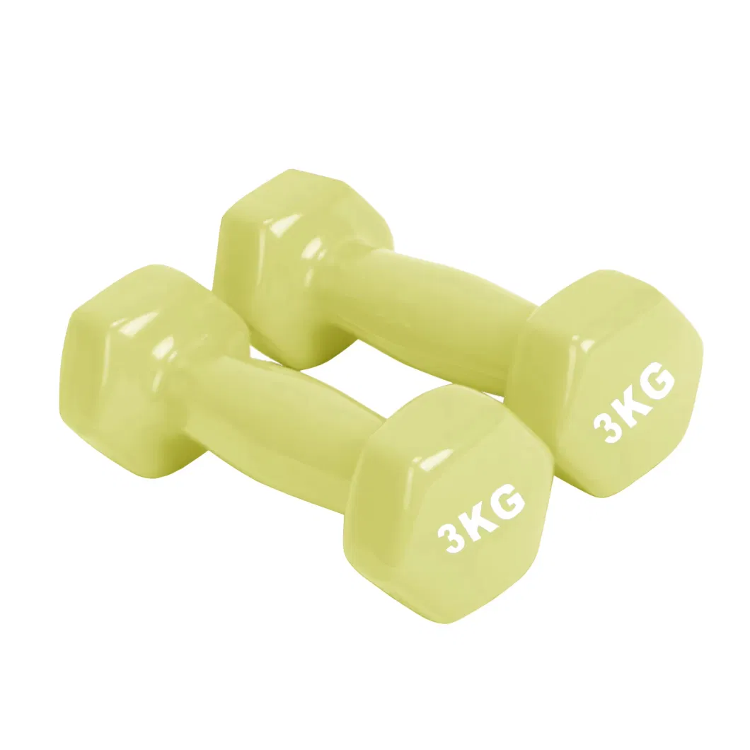 Best Selling Indoor Fitness Equipment Unisex Colorful Vinyl Dipping Hex Dumbbell