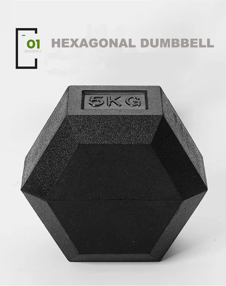 Wholesale Home Gym Fitness Hexagonal Dumbbell Weight Lifting Rubber Coated Hex Dumbbell