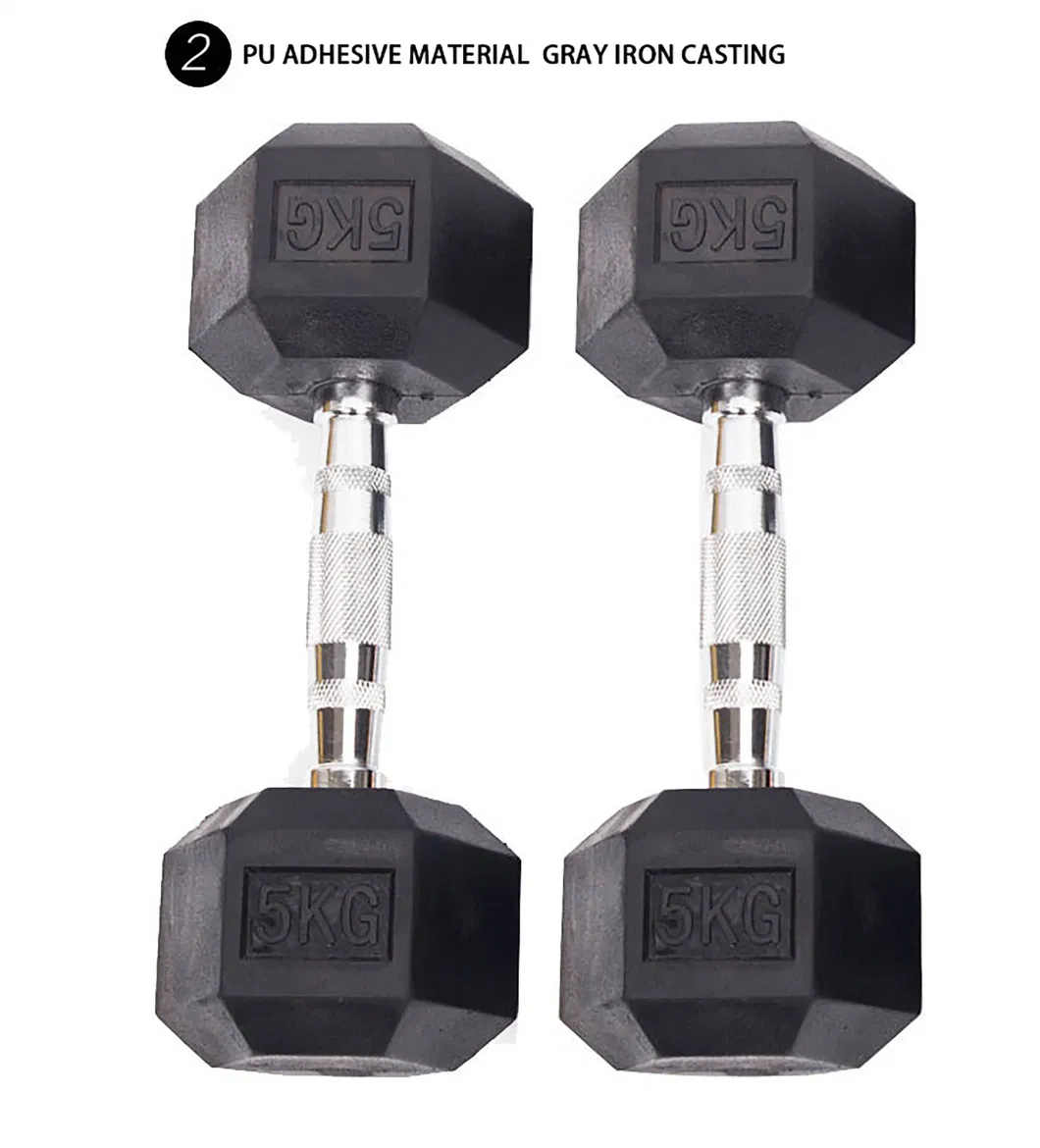 Factory Price Rubber Custom Chrome Arc Handle Rubber Hex Dumbbells Cast Iron Hexagon Dumbbells