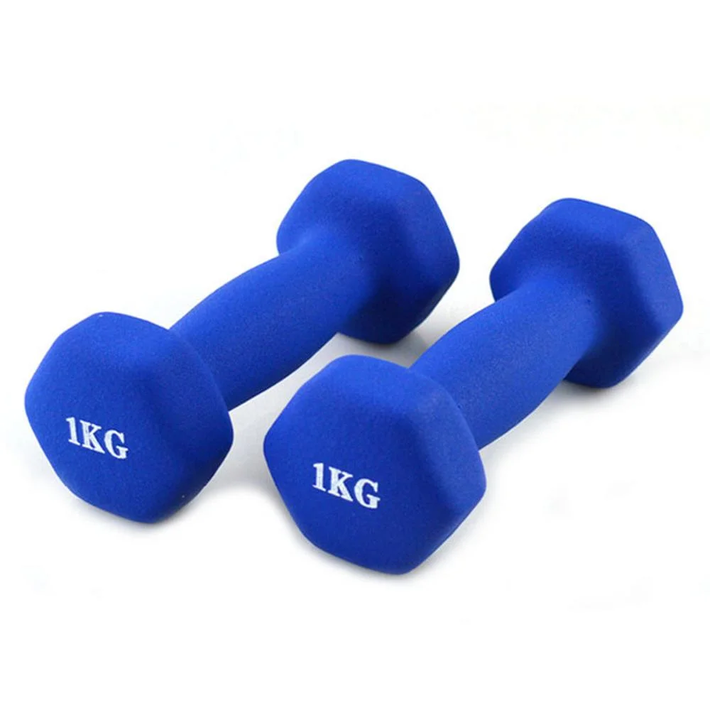 Cheap Ladies Durable Sports Equipment Home Indoor Wholesale Dumbbell