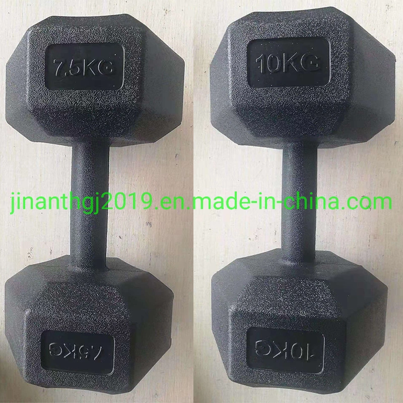 Rubber Coated Hex Casting Iron Dumbbell for Gym Workout Family Exercise