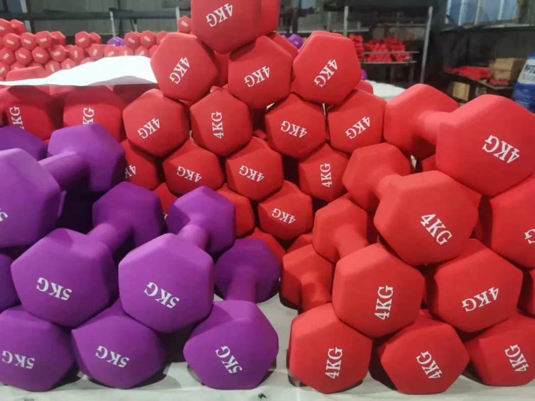 1-10kg Hex Neoprene Dumbbell Free Hand Weight Set for Home Gym Exercises