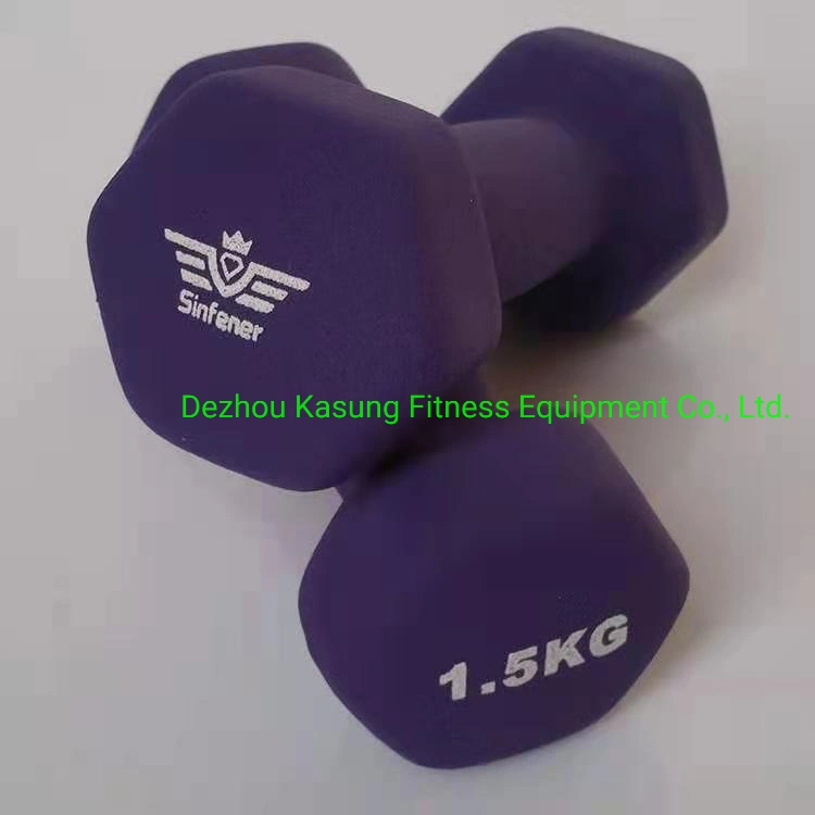 High Quality Vinyl Dumbbell (SA10)