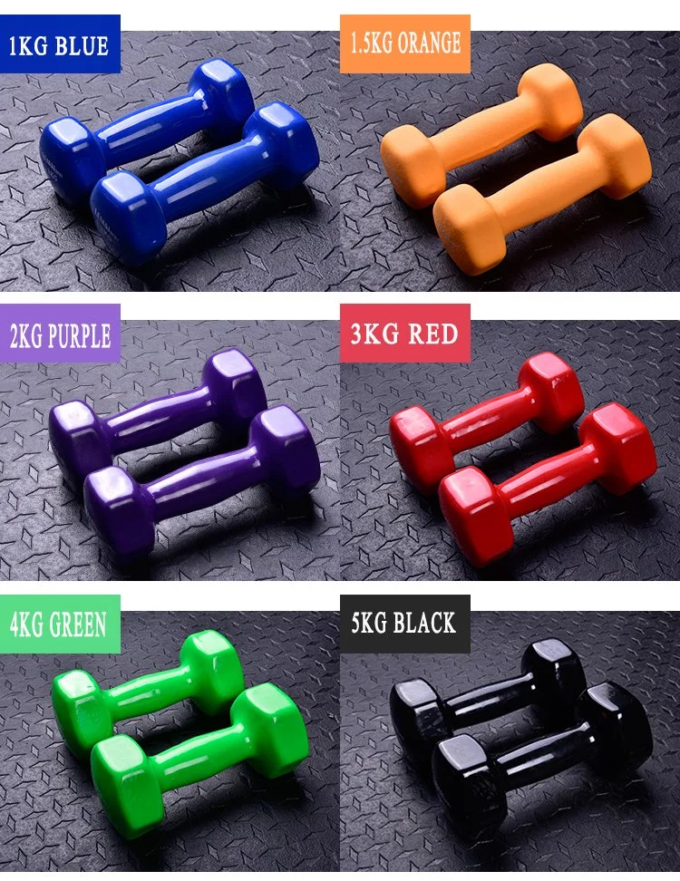 Wholesale Home Colorful Dumbbells Hex Rubber Fixed Dumbbells for Women Fitness