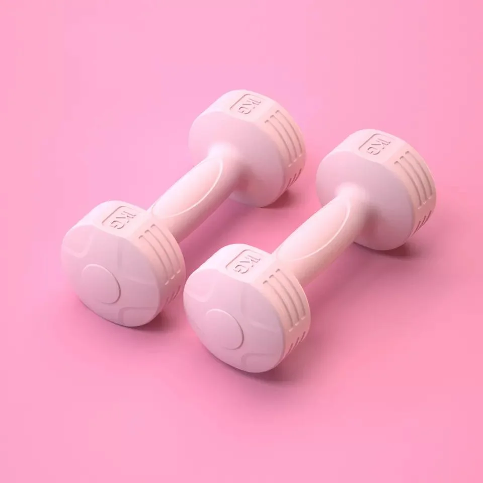 Small Dumbbells in The Home Gym for Women&prime;s Fitness Dumbbells