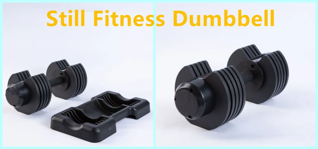 in Stock 13.5 Kg Free Weights Fitness Dumbbells Pair Adjustable Dumbbell