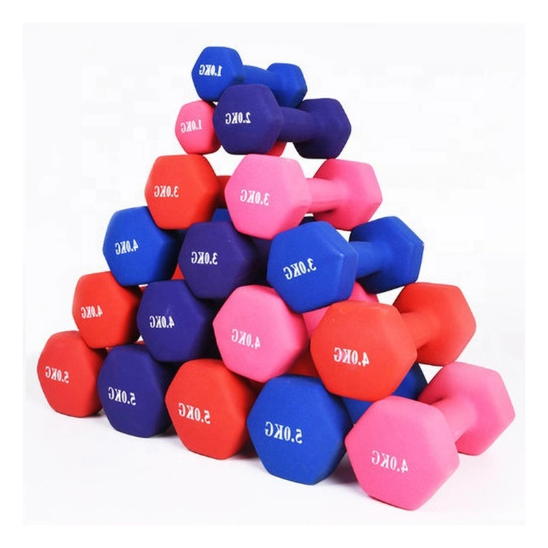 Lightweight Gym and Office Bodybuilding Training Color Dumbbell Hexagonal Design Home Fitness Equipment