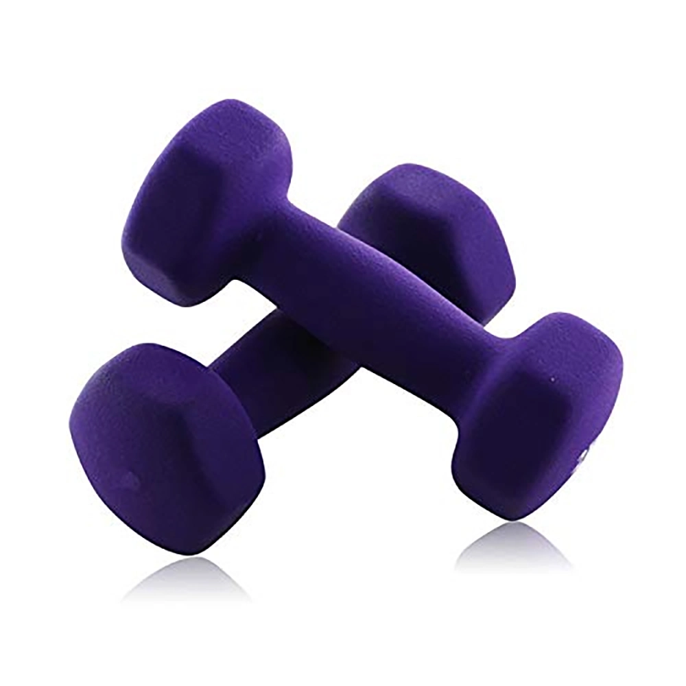 The Dumbbell Set Gym Equipment Casting Iron PVC Wholesale Free Weights Round Dumbbells