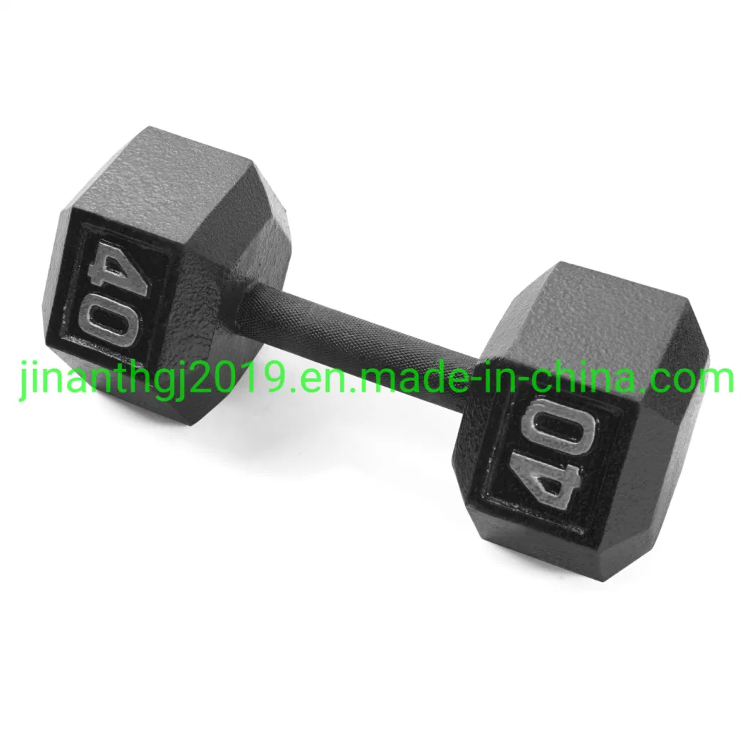 Rubber Coated Hex Casting Iron Dumbbell for Gym Workout Family Exercise