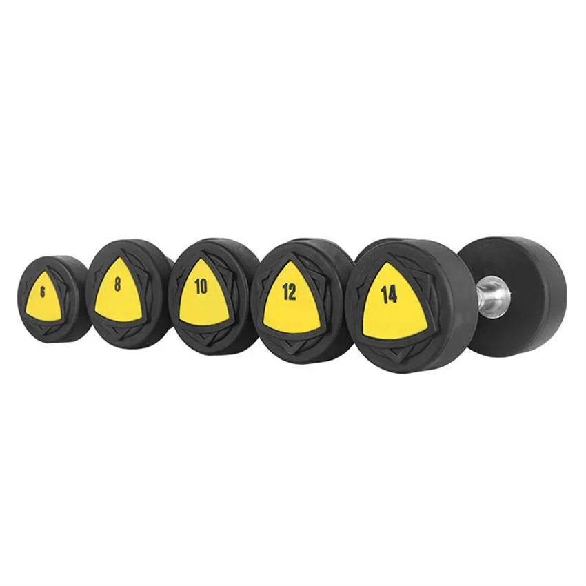 Gym Equipment Exercise Body Building Vinyl Ladies Coated Dumbbell Vinyl Dipping Dumbbell PVC Coated Dumbbell