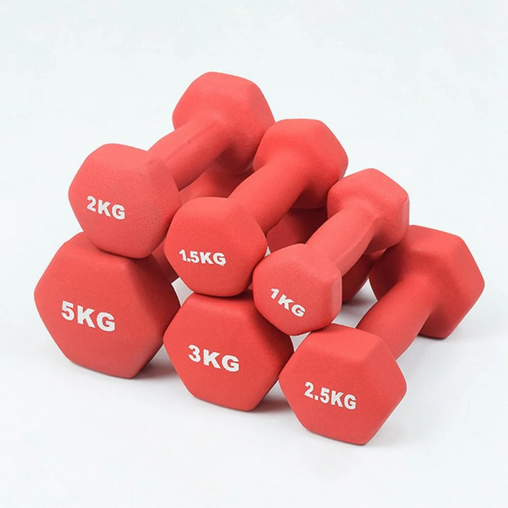 Fitness Building Wholesale Sport Dumbbell Women Colorful Hex Hand Weight Dumbbell Set