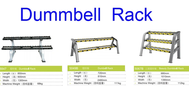 OEM Wholesale Fitness Lbs/ Kg Rubber or PU Round Dumbbell for Gym