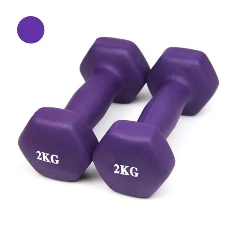 Home Workout Lady Dumbbell Aerobic Training Weights Strength Hand Weight Vinyl Coated Dumbbell Set
