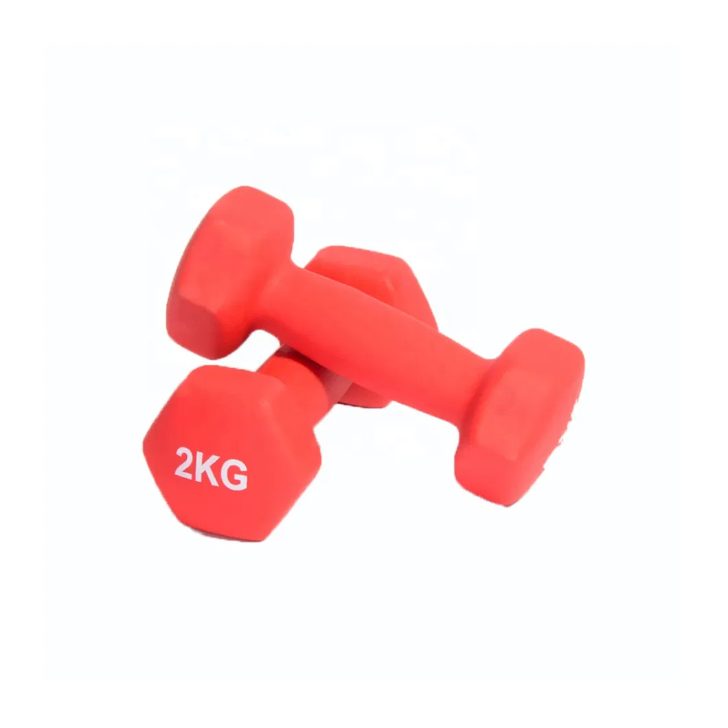 Waterproof Colorful Woman Macaron Dumbbells for Sale