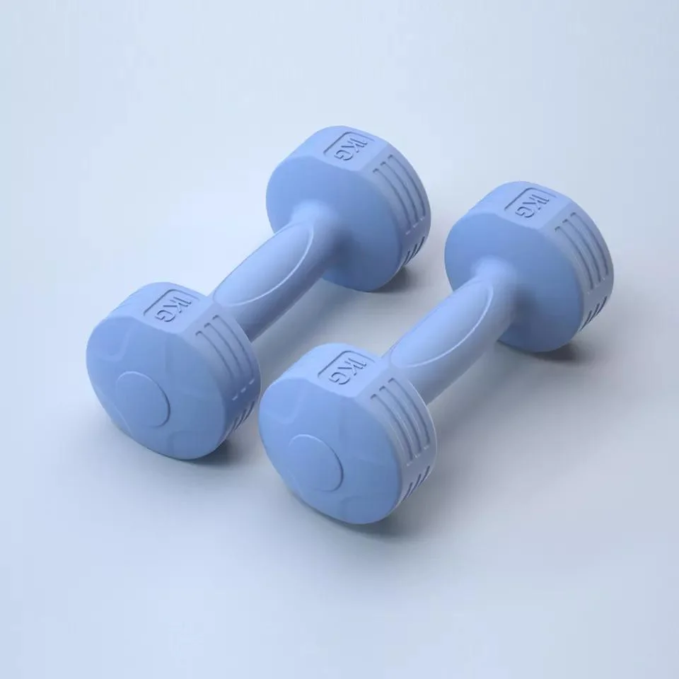 Small Dumbbells in The Home Gym for Women&prime;s Fitness Dumbbells