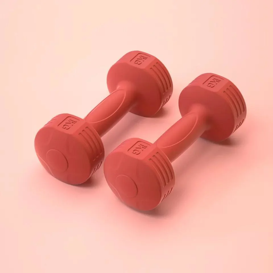 Small Dumbbells in The Home Gym for Women&prime;s Fitness Dumbbells