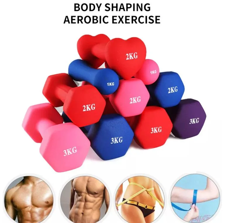 Promotion Women Dumbbell Set for Home Gym Fitness Equipment Plastic DIP Dumbbells