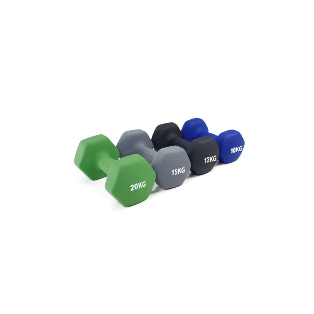 PVC Vinyl Dipping Dumbbells for Women/Men, Home Gym Fitness Truncated Dumbbell with Matt Surface