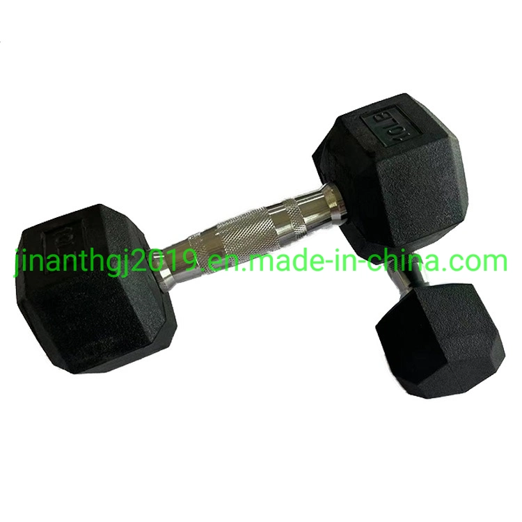 China Professional Gym Smooth DIP Dumbbell