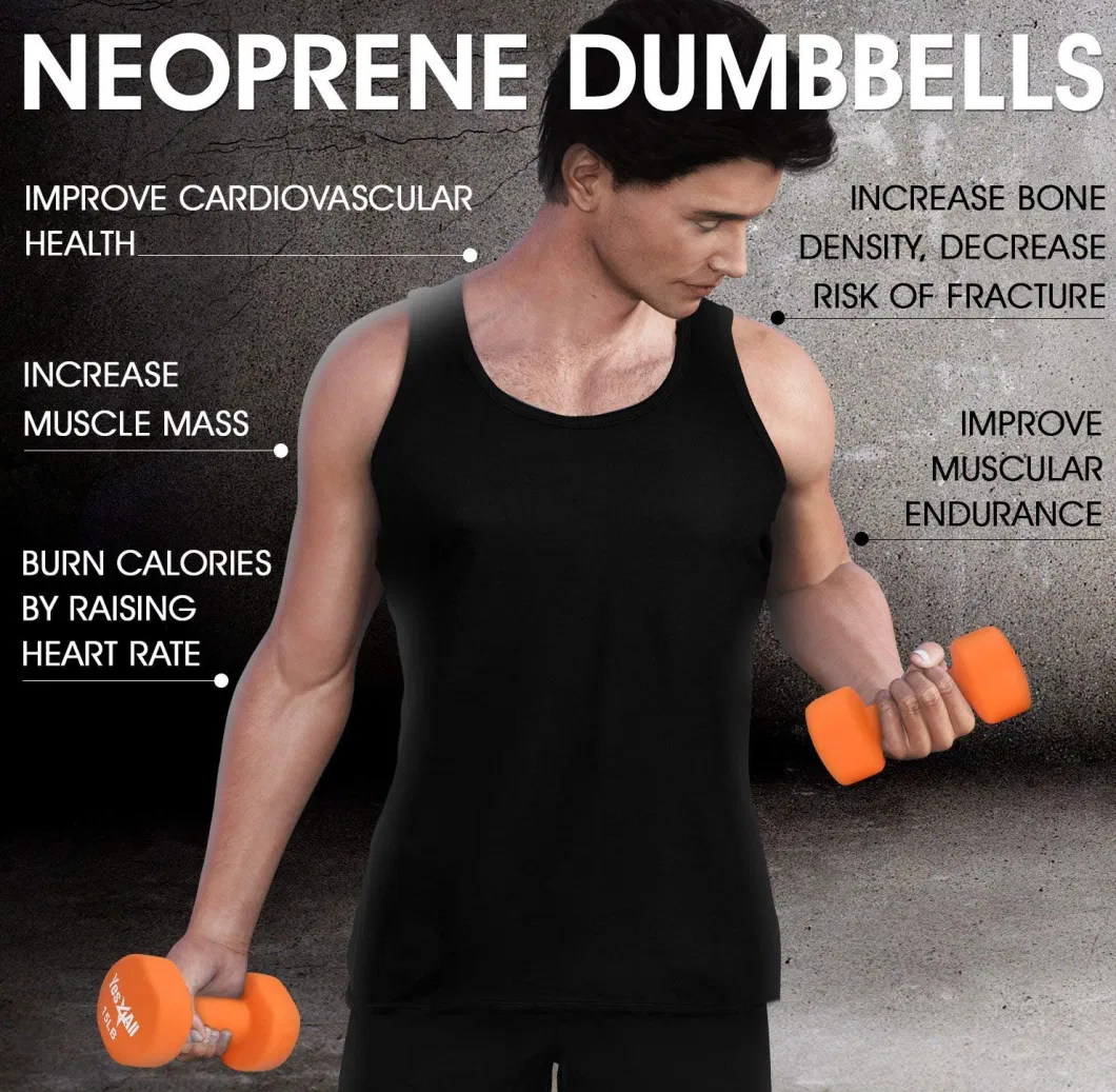 2lbs 3lbs 5lbs Customized Neoprene Gym Dumbbell Set with Stand