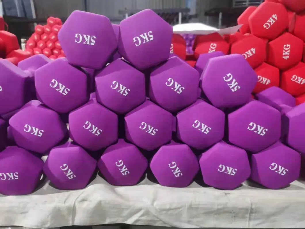 Deluxe Colorful Neoprene Coated Dumbbell Gym Lifting Strength Equipment Vinyl Cast Iron Dumbbell for Women Yoga Use