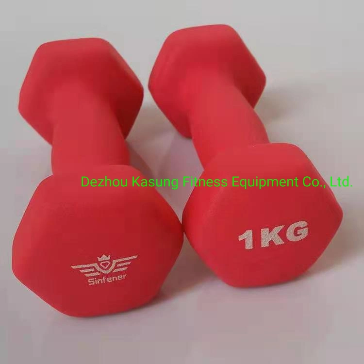 High Quality Vinyl Dumbbell (SA10)