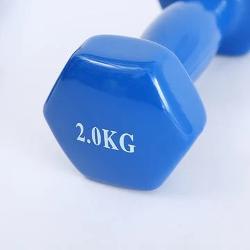 Dumbbell Custom Logo 24kg Adjustable Dumbbell Gym Weight Lifting Training Dumbbell