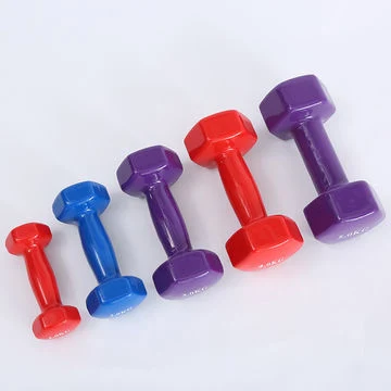 Dumbbell Custom Logo 24kg Adjustable Dumbbell Gym Weight Lifting Training Dumbbell