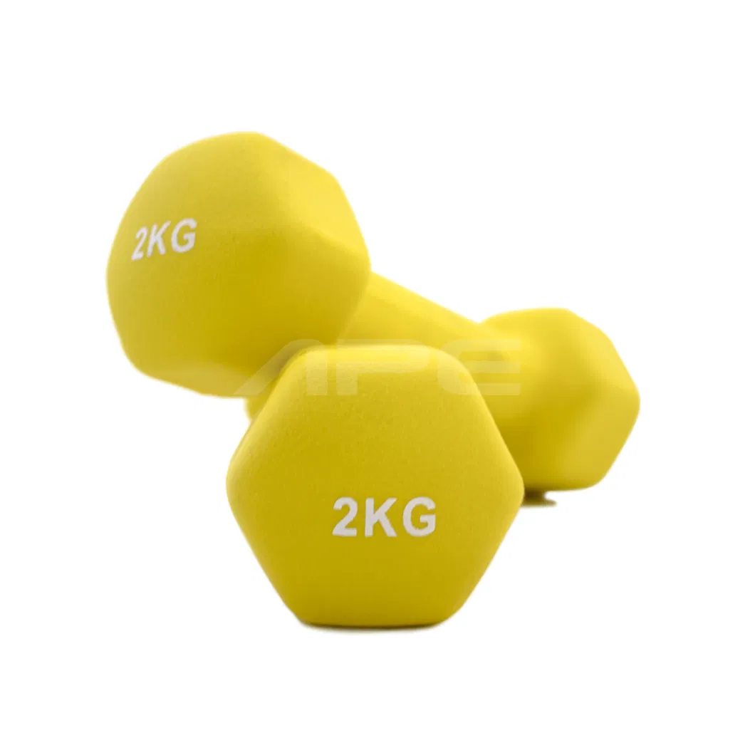 Ape Fitness Vinyl Hex Dumbbells for Women Training