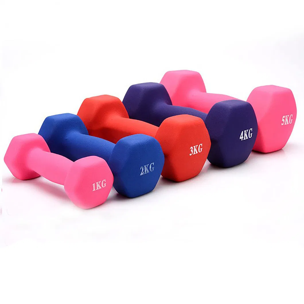 Hexagon Impregnated Dumbbell Glossy Frosted Multicolored Dumbbells