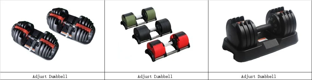 High Quality Dodecagon Head Rubber Coated Dumbbell