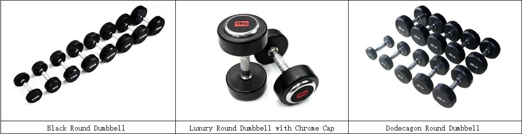 High Quality Dodecagon Head Rubber Coated Dumbbell