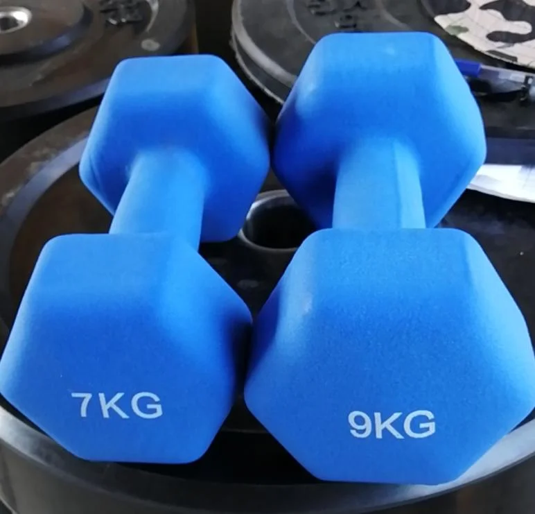 Ad-03 Gym Equipment Cast Iron Hex Dumbells Rubber Coating Matte Hexagon Dumbbells