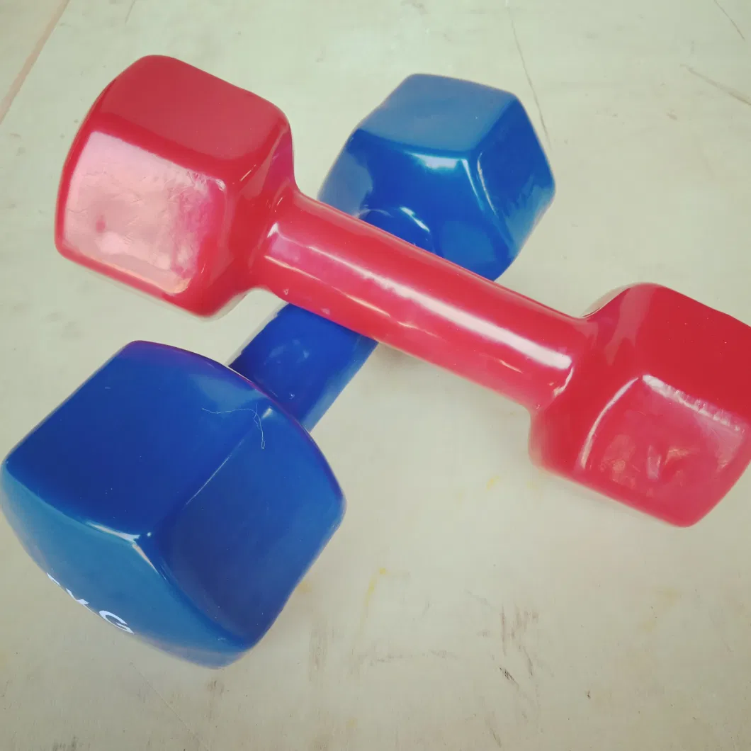 Wholesale Women Used Portable Vinyl Dipped/Neoprene Coated Dumbbell Colorful Hex Yoga Dumbbell Set