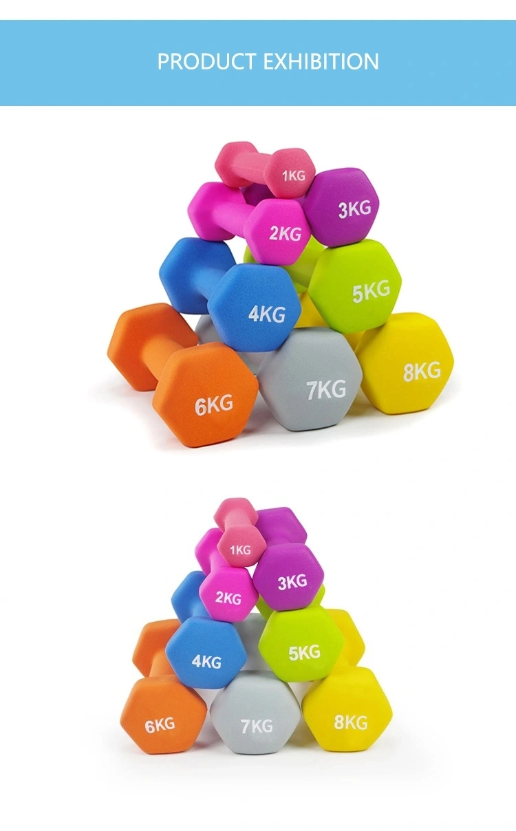 Popular Gym Equipment Colourful Free Weight Vinyl Dumbbell