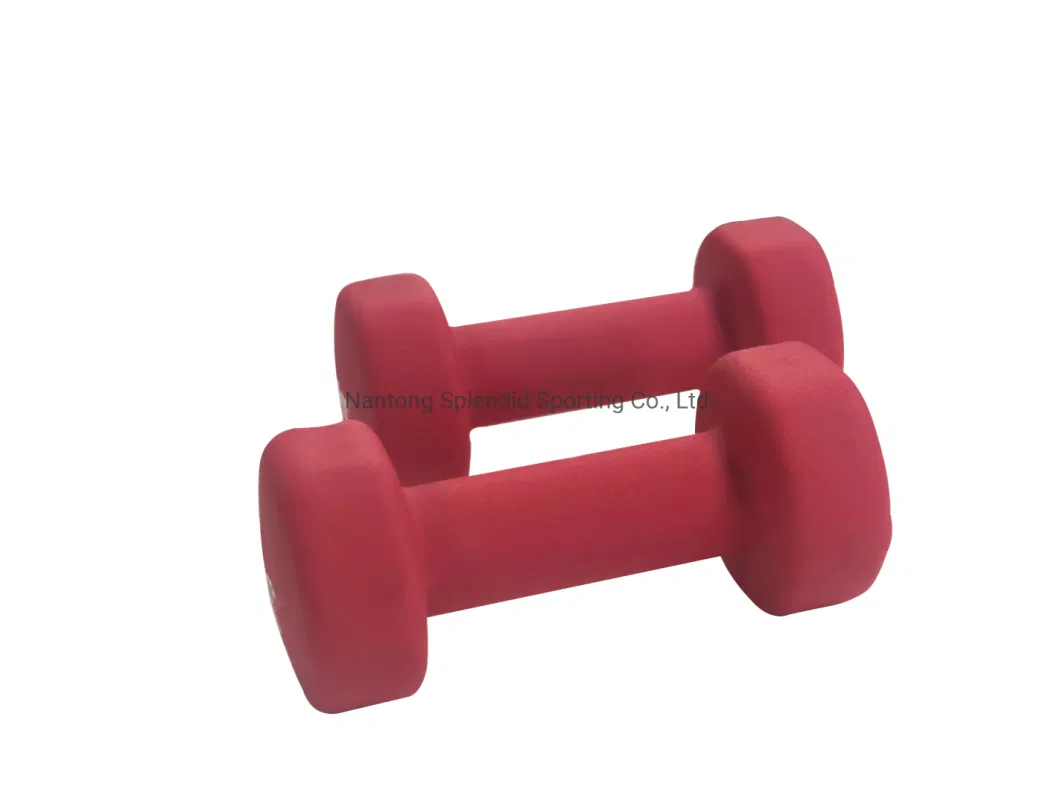 Special Body Pesas De Gym Fitness Equipment Gym High Quality Neoprene Dumbbell Dumbbell Set