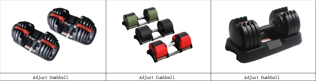 Hot Sell Dodecagon Rubber Coated Dumbbell