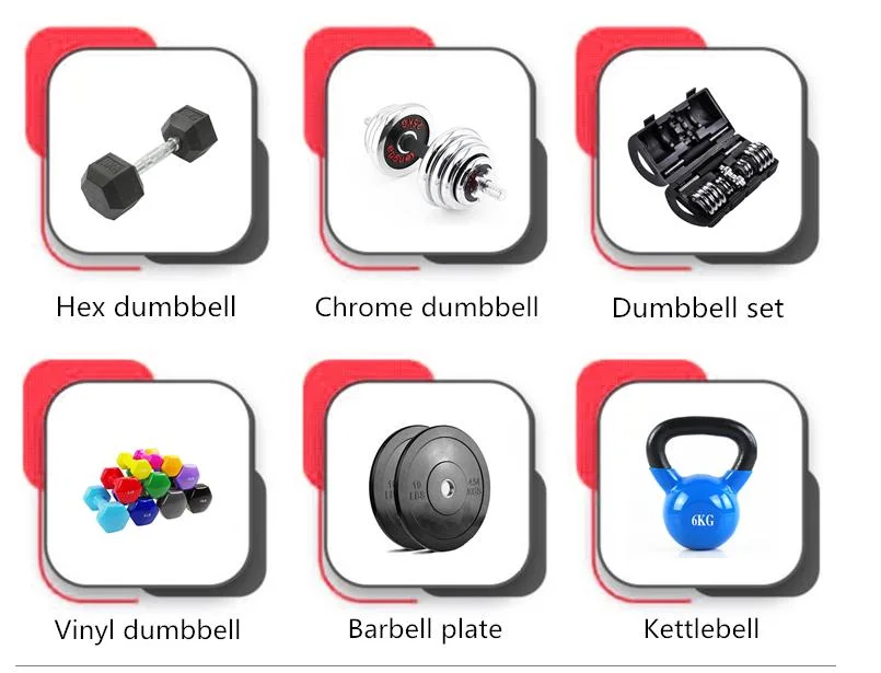 Wholesale Gym Equipment Weight Dumbbells/Lb Hex Dumbbell with Best Price
