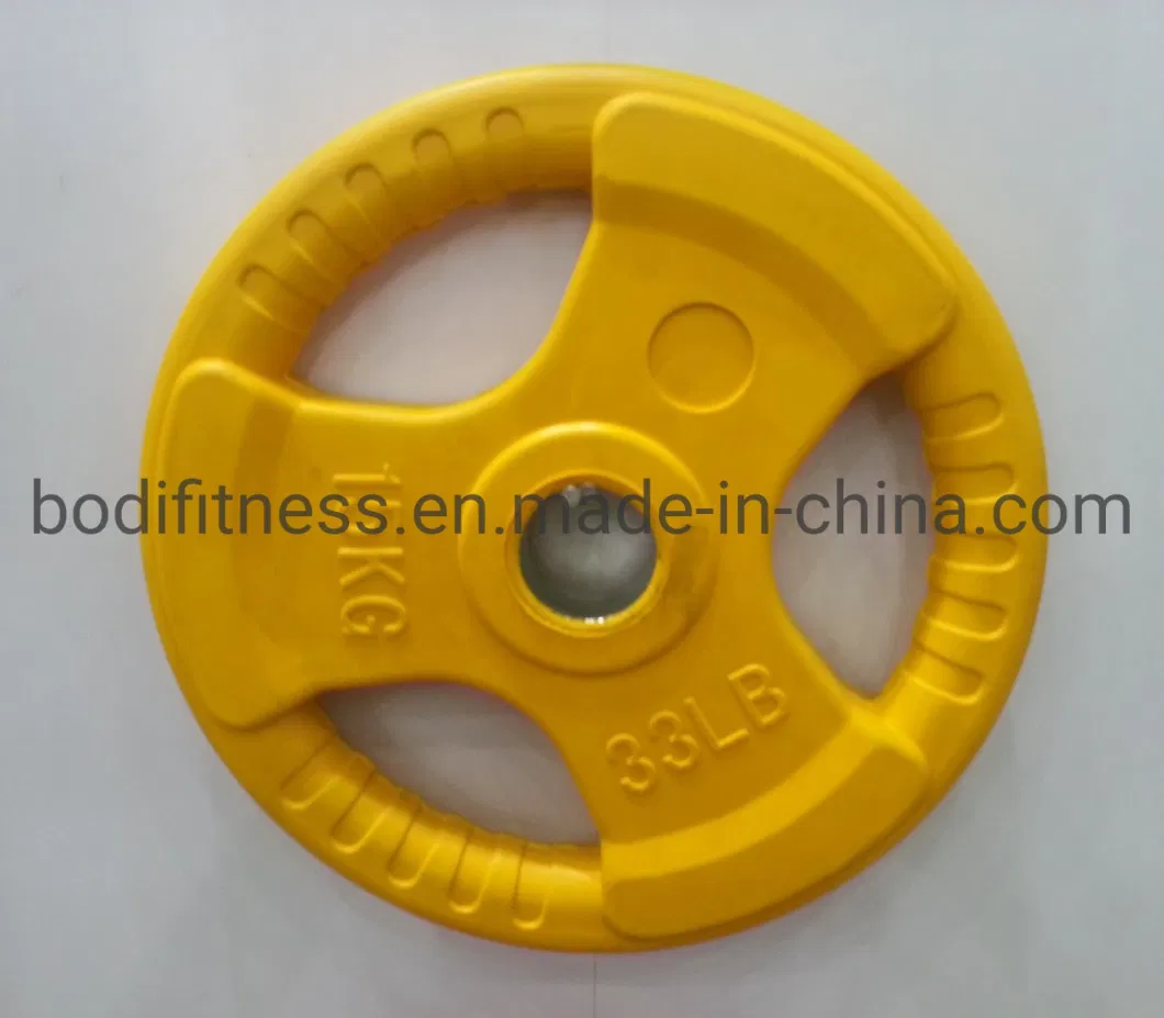 Gym Dumbbell Equipments Weight Lifting Plates Color Rubber Plate