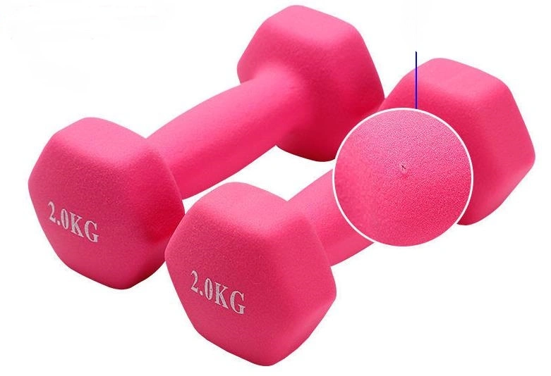 Deluxe Colorful Neoprene Coated Dumbbell Gym Lifting Strength Equipment Vinyl Cast Iron Dumbbell for Women Yoga Use