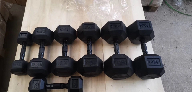 Factory Price Fitness Home Gym Equipment Rubber Hex Dumbbell