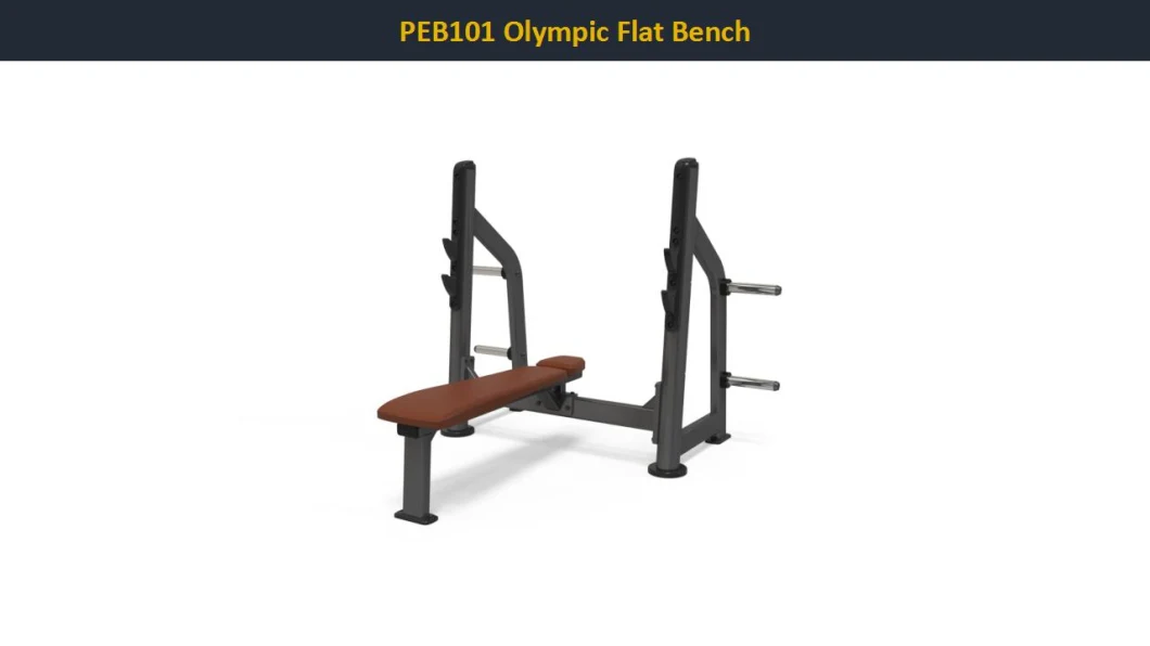 Gym Equipment Flat Bench Commerical Use Free Weight Fintess