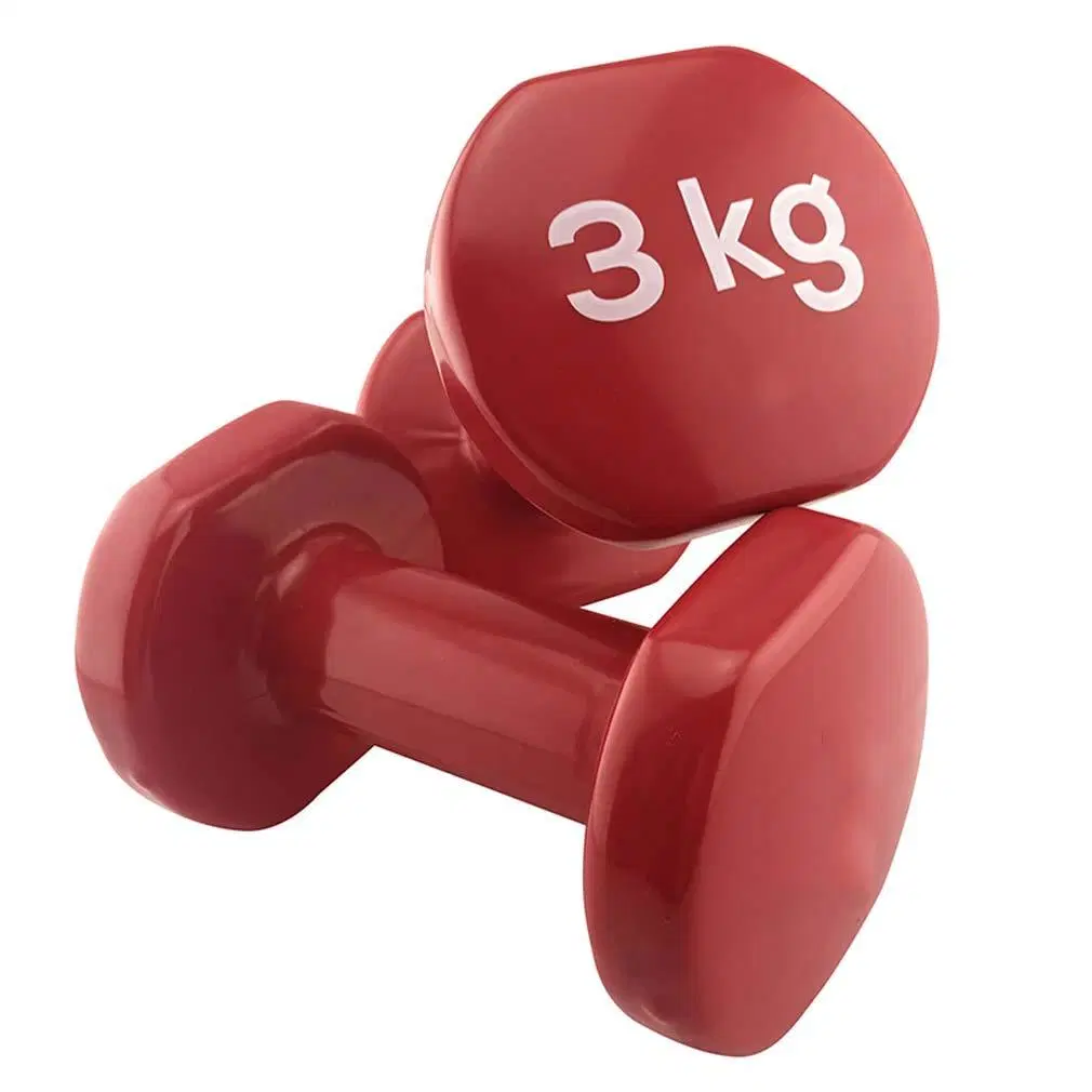 Factory Weights Dumbbells Custom Dumbbells Cheap Neoprene PVC Dipping Dumbbell for Sale