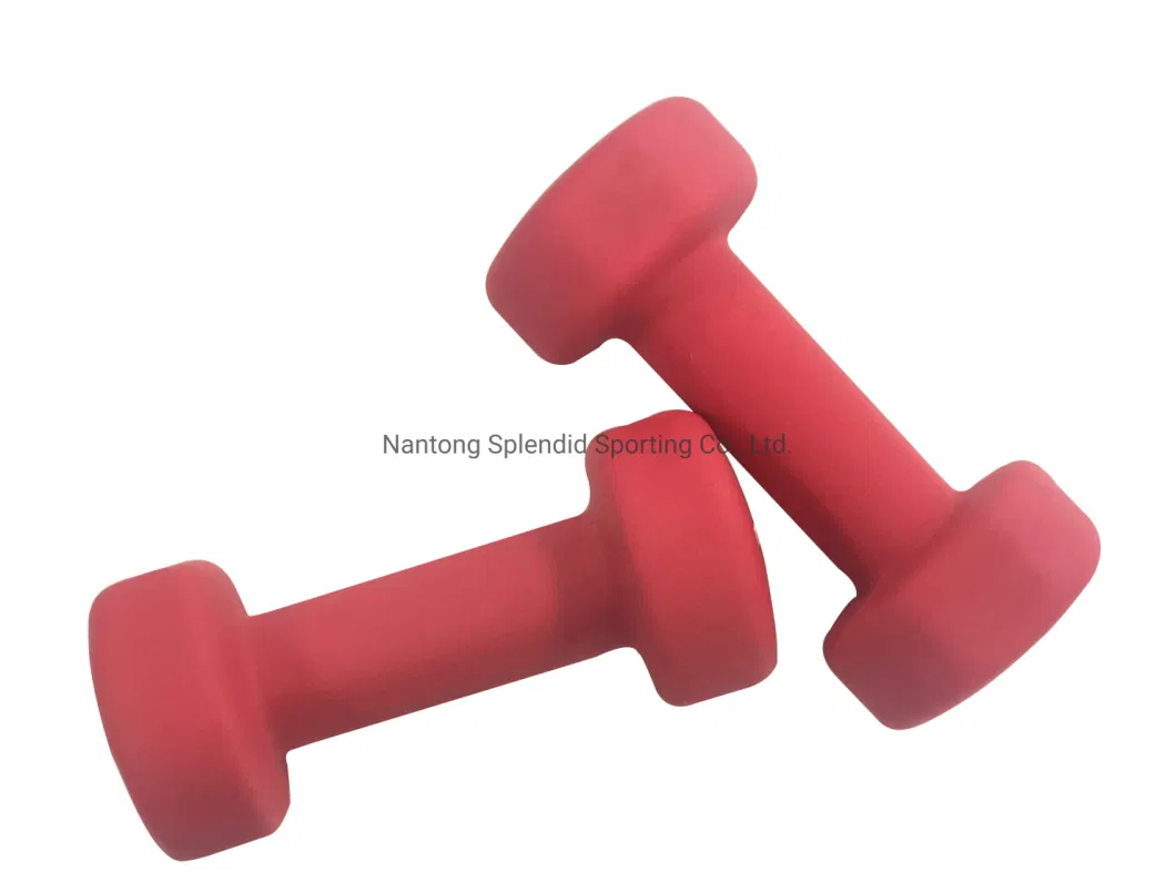 Special Body Pesas De Gym Fitness Equipment Gym High Quality Neoprene Dumbbell Dumbbell Set