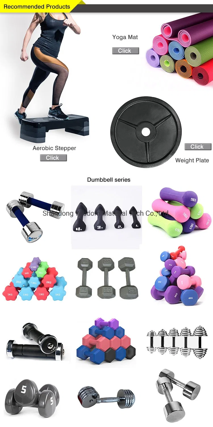 DIP Plastic Kettlebell Gym Home Fitness Strength Training Cast Iron Dumbbell Set Coated Hexagonal Rubber Kettlebell