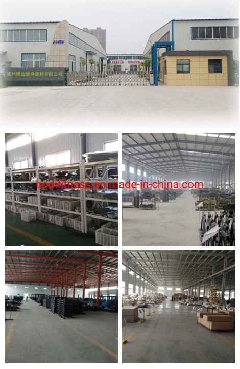 China Wholesale Fitness Equipment Different Weight Fixed Straight Straight Curl Rubber Barbel