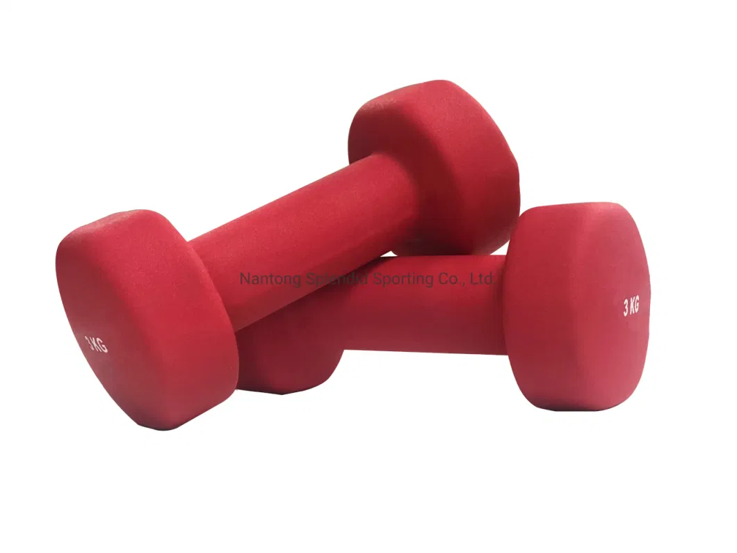 Special Body Pesas De Gym Fitness Equipment Gym High Quality Neoprene Dumbbell Dumbbell Set