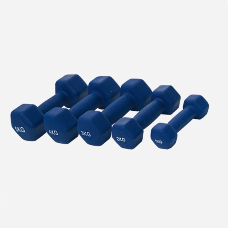 Good Quality Colorfull Vinyl Dumbbell Tz-3004 with Wholesale Price